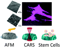 Graphical abstract: Micro- and nano-patterned elastin-like polypeptide hydrogels for stem cell culture