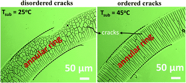 Graphical abstract: Tailoring crack morphology in coffee-ring deposits via substrate heating