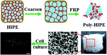 Graphical abstract: Interconnected macroporous 3D scaffolds templated from gelatin nanoparticle-stabilized high internal phase emulsions for biomedical applications