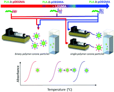 Graphical abstract: Control of aggregation temperatures in mixed and blended cytocompatible thermoresponsive block co-polymer nanoparticles
