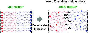 Graphical abstract: Domain swelling in ARB-type triblock copolymers via self-adjusting effective dispersity