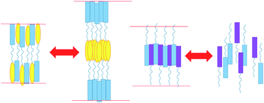 Graphical abstract: A frustrated phase driven by competition among layer structures