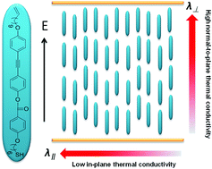 Graphical abstract: A homeotropic main-chain tolane-type liquid crystal elastomer film exhibiting high anisotropic thermal conductivity