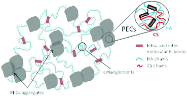 Graphical abstract: Highly stretchable hydrogels from complex coacervation of natural polyelectrolytes