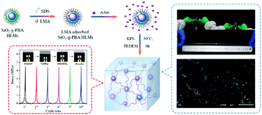 Graphical abstract: Highly tough, anti-fatigue and rapidly self-recoverable hydrogels reinforced with core–shell inorganic–organic hybrid latex particles