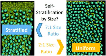 Graphical abstract: Stratification in binary colloidal polymer films: experiment and simulations
