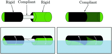 Graphical abstract: Capillary induced twisting of Janus cylinders