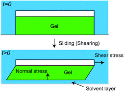 Graphical abstract: Shear induced formation of lubrication layers of negative normal stress gels