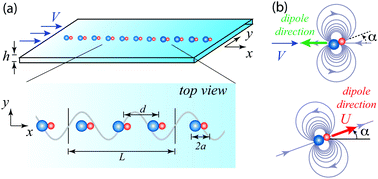 Graphical abstract: Activity-induced instability of phonons in 1D microfluidic crystals