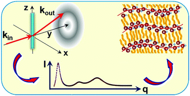 Graphical abstract: Self-segregated nanostructure in room temperature ionic liquids