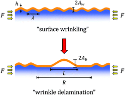 Graphical abstract: Wrinkling-to-delamination transition in thin polymer films on compliant substrates