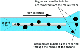 Graphical abstract: Bubble propagation on a rail: a concept for sorting bubbles by size