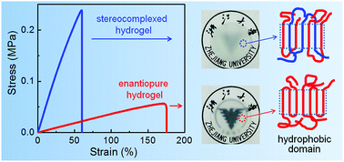 Graphical abstract: Stereocomplexed physical hydrogels with high strength and tunable crystallizability