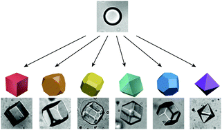 Graphical abstract: Soft polyhedral particles based on cubic liquid crystalline emulsion droplets