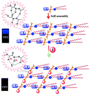 Graphical abstract: A novel supramolecular organogel based on acylhydrazone functionalized pillar[5]arene acts as an I− responsive smart material