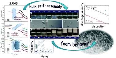 Graphical abstract: Interplay between bulk self-assembly, interfacial and foaming properties in a catanionic surfactant mixture of varying composition