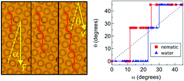 Graphical abstract: Colloidal transport within nematic liquid crystals with arrays of obstacles
