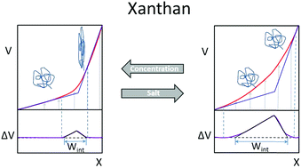 Graphical abstract: Shear-banding in entangled xanthan solutions: tunable transition from sharp to broad shear-band interfaces