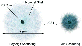 Graphical abstract: Core–shell colloidal particles with dynamically tunable scattering properties