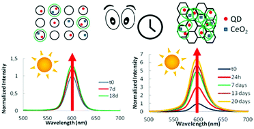 Graphical abstract: Co-encapsulation of CdSe/ZnS and CeO2 nanoparticles in waterborne polymer dispersions: enhancement of fluorescence emission under sunlight