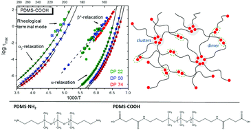 Graphical abstract: Hydrogen-bond strength changes network dynamics in associating telechelic PDMS