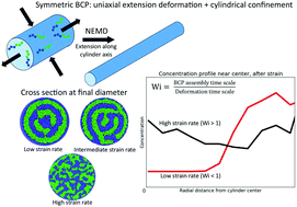 Graphical abstract: Simultaneous uniaxial extensional deformation and cylindrical confinement of block copolymers using non-equilibrium molecular dynamics