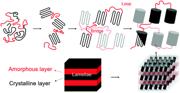 Graphical abstract: Understanding chain folding morphology of semicrystalline polymers based on a rod–coil multiblock model