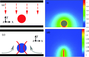 Graphical abstract: Dynamics of a colloidal particle near a thermoosmotic wall under illumination