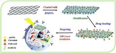 Graphical abstract: Immobilization of gold nanoparticles on folate-conjugated dendritic mesoporous silica-coated reduced graphene oxide nanosheets: a new nanoplatform for curcumin pH-controlled and targeted delivery