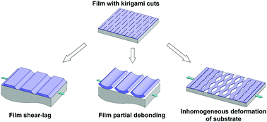 Graphical abstract: Kirigami enhances film adhesion