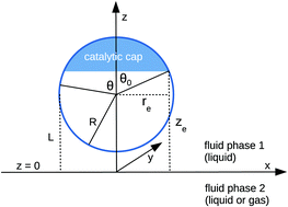 Graphical abstract: Self-diffusiophoresis induced by fluid interfaces