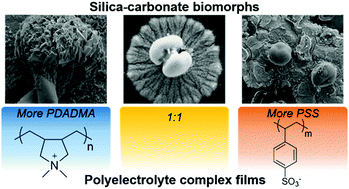 Graphical abstract: Polyelectrolyte complex films influence the formation of polycrystalline micro-structures