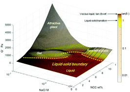 Graphical abstract: “Liquid, gel and soft glass” phase transitions and rheology of nanocrystalline cellulose suspensions as a function of concentration and salinity