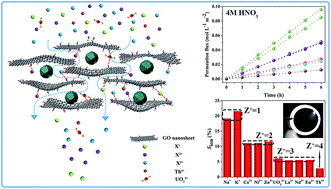 Graphical abstract: Effective charge-discriminated group separation of metal ions under highly acidic conditions using nanodiamond-pillared graphene oxide membrane