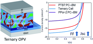 Graphical abstract: High efficiency ternary organic solar cell with morphology-compatible polymers