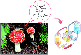 Graphical abstract: Bioinspired, high-stability, nonaqueous redox flow battery electrolytes