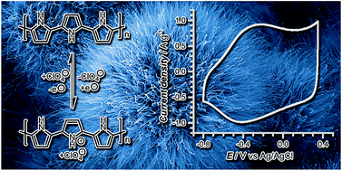 Graphical abstract: Low-temperature vapour phase polymerized polypyrrole nanobrushes for supercapacitors