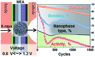 Graphical abstract: Charting the relationship between phase type-surface area-interactions between the constituent atoms and oxygen reduction activity of Pd–Cu nanocatalysts inside fuel cells by in operando high-energy X-ray diffraction