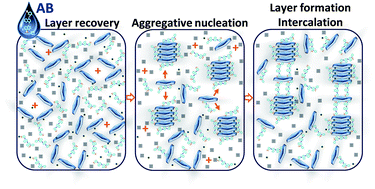 Graphical abstract: Thermal decomposition and recovery properties of ZnAl–CO3 layered double hydroxide for anionic dye adsorption: insight into the aggregative nucleation and growth mechanism of the LDH memory effect.