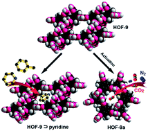 Graphical abstract: A microporous hydrogen-bonded organic framework with amine sites for selective recognition of small molecules