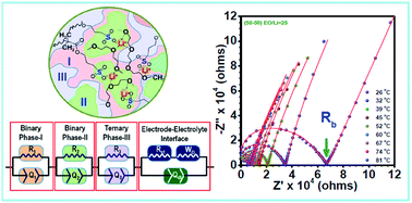Graphical abstract: Swapping conventional salts with an entrapped lithiated anionic polymer: fast single-ion conduction and electrolyte feasibility in LiFePO4/Li batteries