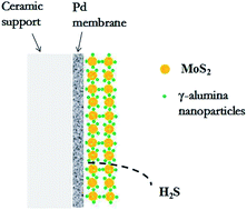 Graphical abstract: Highly sulfur-tolerant Pd composite membranes with a protective layer of MoS2/γ-alumina