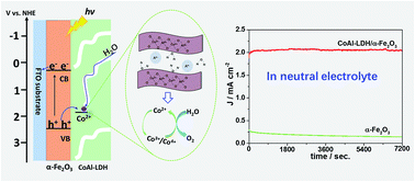 Graphical abstract: Dual-functional CoAl layered double hydroxide decorated α-Fe2O3 as an efficient and stable photoanode for photoelectrochemical water oxidation in neutral electrolyte