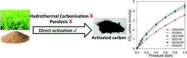 Graphical abstract: Biomass to porous carbon in one step: directly activated biomass for high performance CO2 storage