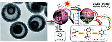 Graphical abstract: Self-templated formation of ZnFe2O4 double-shelled hollow microspheres for photocatalytic degradation of gaseous o-dichlorobenzene