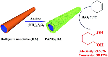 Graphical abstract: Enhanced solvent-free selective oxidation of cyclohexene to 1,2-cyclohexanediol by polyaniline@halloysite nanotubes