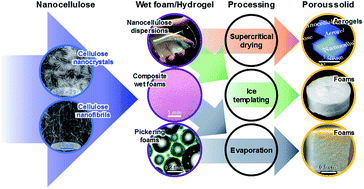 Graphical abstract: Nanocellulose-based foams and aerogels: processing, properties, and applications