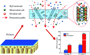 Graphical abstract: Zwitterionic carbon nanotube assisted thin-film nanocomposite membranes with excellent efficiency for separation of mono/divalent ions from brackish water