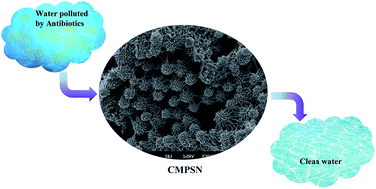 Graphical abstract: Hierarchical porous spherical-shaped conjugated microporous polymers for the efficient removal of antibiotics from water