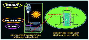 Graphical abstract: Solar-energy-driven conversion of biomass to bioethanol: a sustainable approach